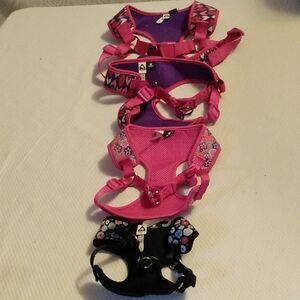 Dog Harness Set Of 4